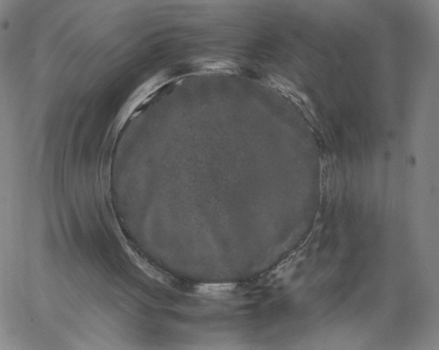 X0000067360051200604131826