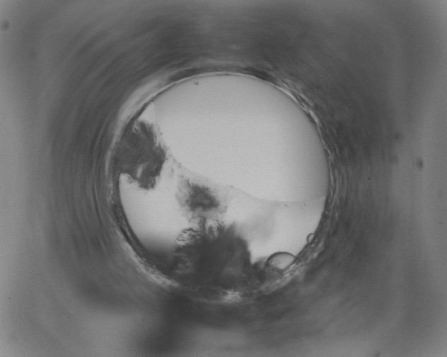 X0000067360053200604131826