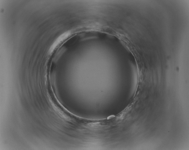 X0000067360054200604131826