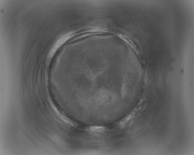 X0000067360055200604131827