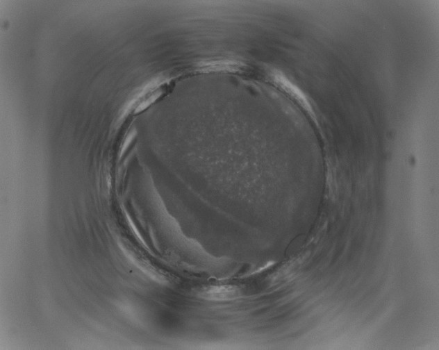 X0000067360059200604131827