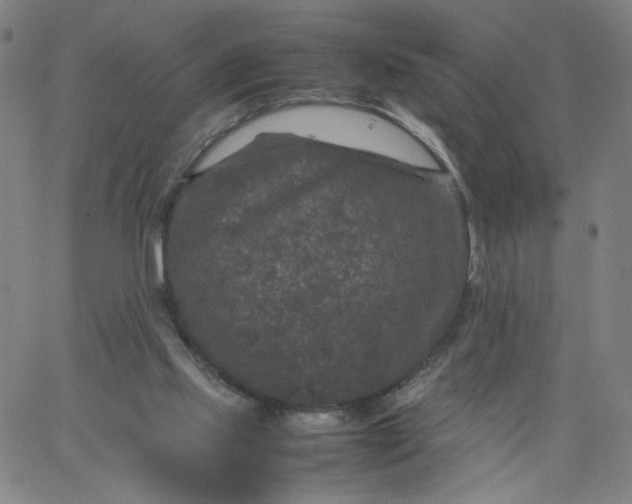 X0000067360061200604131827