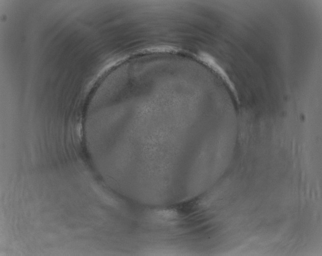 X0000067360063200604131827
