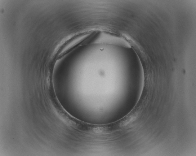 X0000067360064200604131827