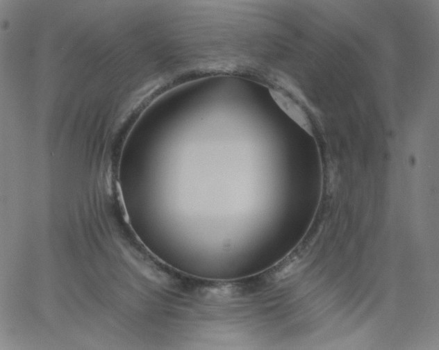 X0000067360068200604131827