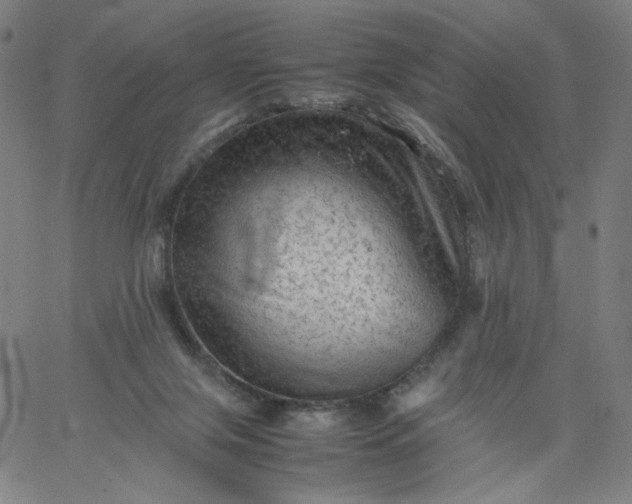 X0000067360071200604131827