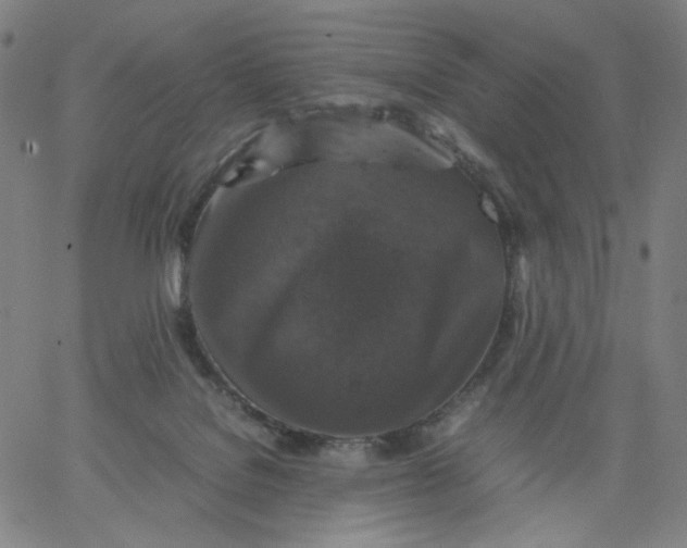 X0000067360076200604131827