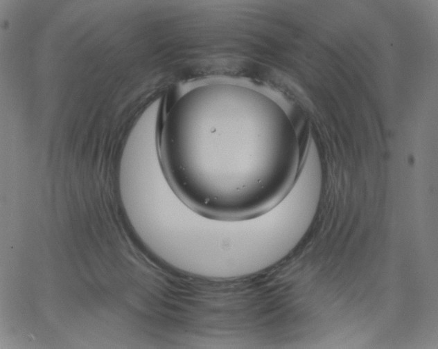 X0000067360077200604131827
