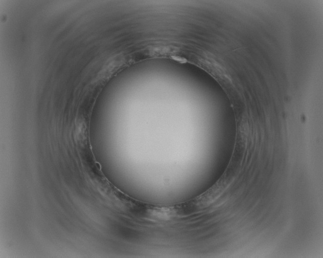 X0000067360079200604131827