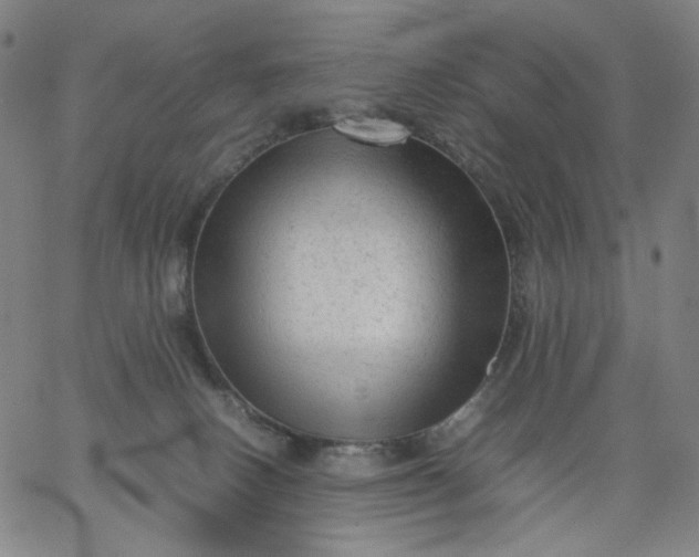 X0000067360082200604131827
