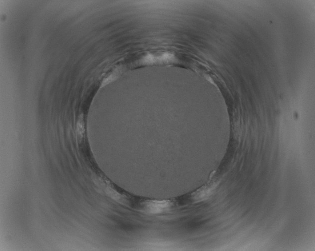 X0000067360085200604131827