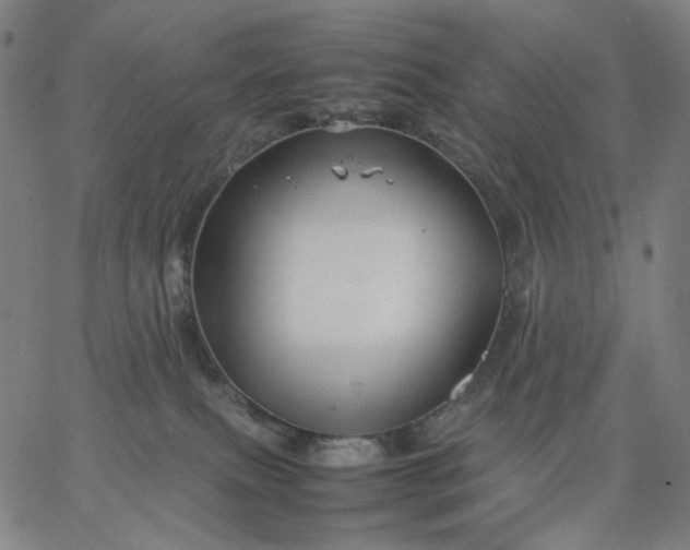 X0000067360087200604131827