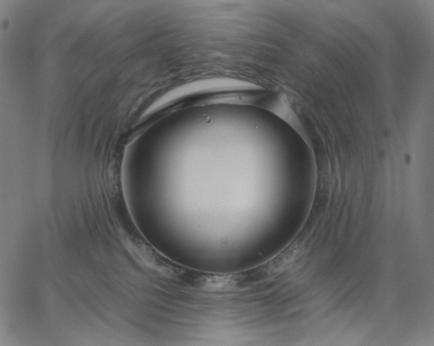 X0000067360088200604131827