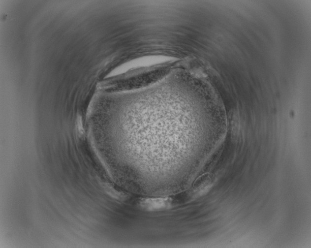 X0000067360089200604131827