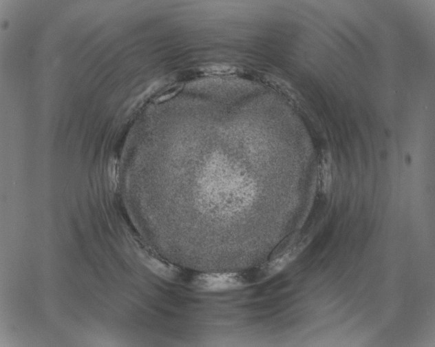 X0000067360093200604131827
