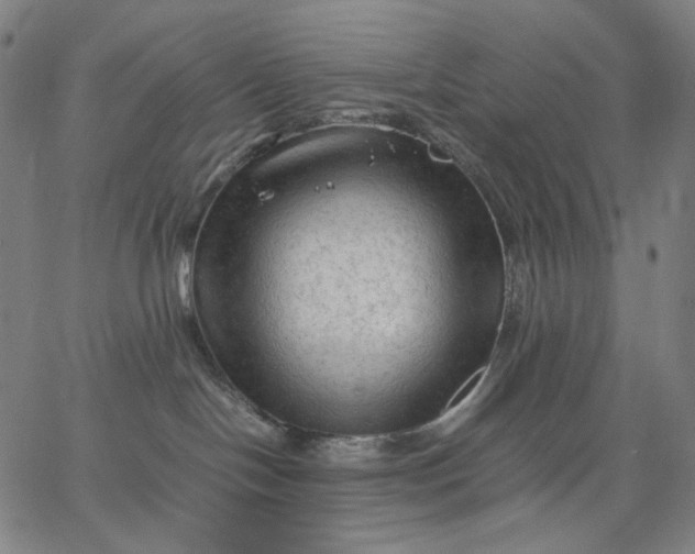 X0000067360094200604131827