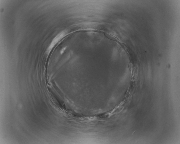 X0000067360099200604131826