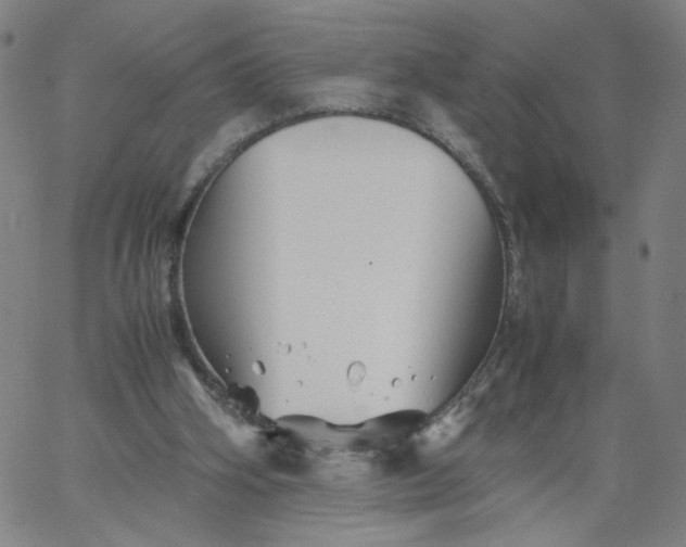 X0000067360106200604131826