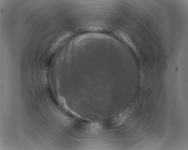 X0000067360114200604131826
