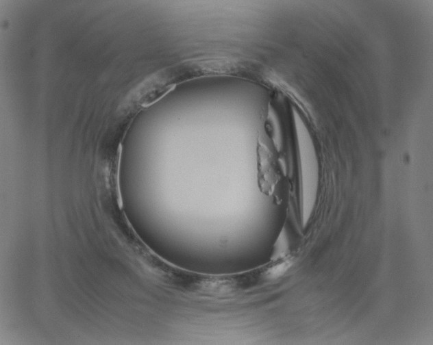 X0000067360117200604131826