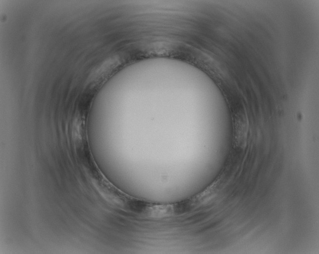 X0000067360126200604131826