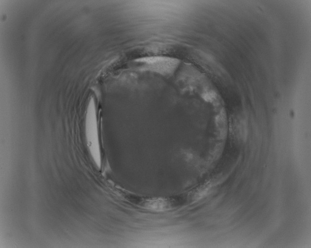 X0000067360127200604131826