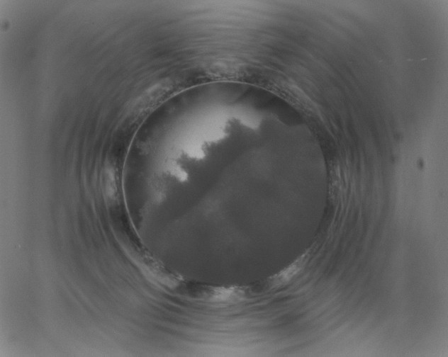 X0000067360130200604131826