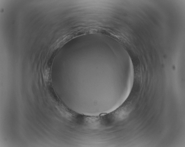 X0000067360139200604131826