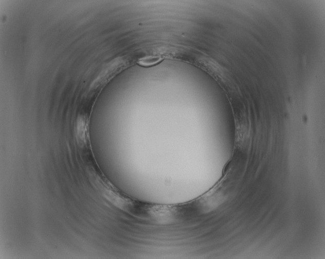 X0000067360142200604131826