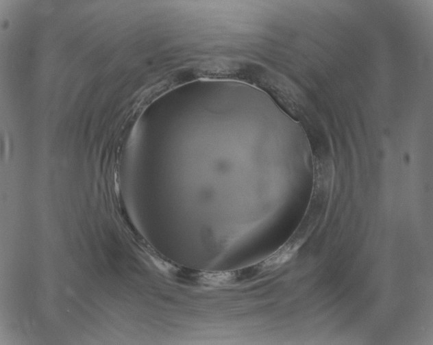 X0000067360143200604131826
