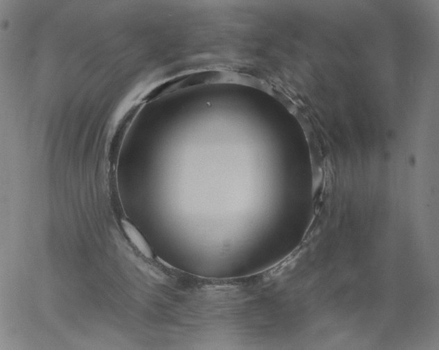 X0000067360150200604131825