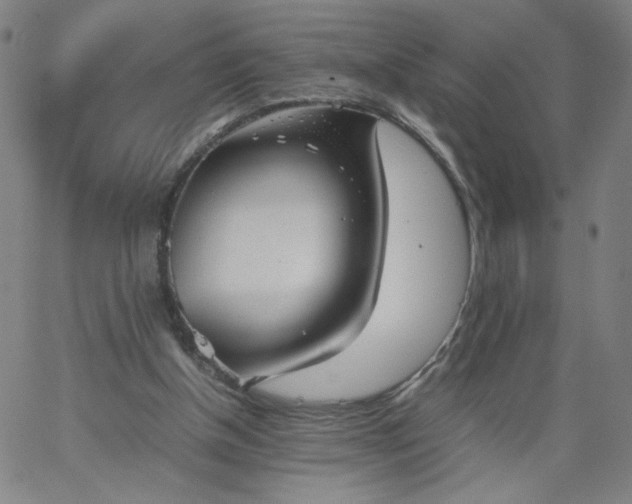 X0000067360154200604131825