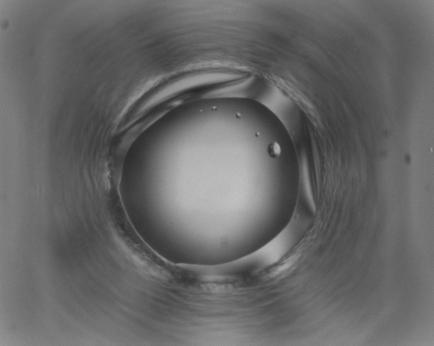 X0000067360160200604131825