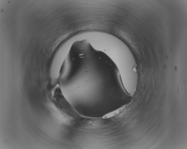 X0000067360164200604131825