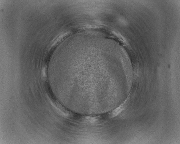 X0000067360166200604131825