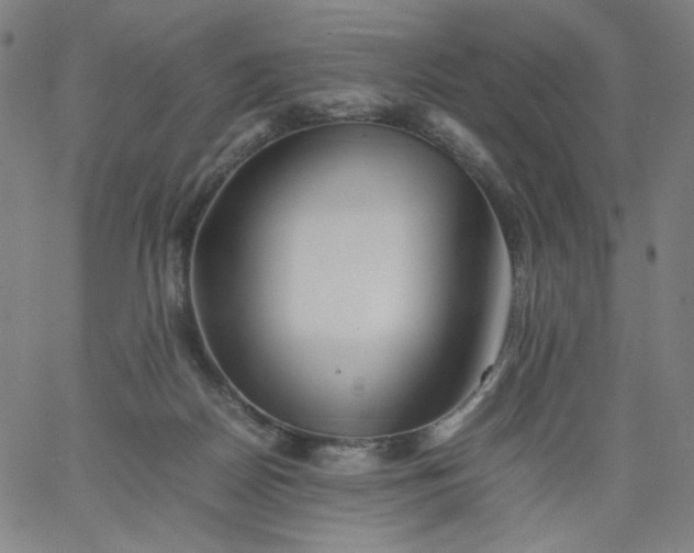 X0000067360170200604131825