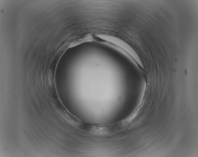 X0000067360174200604131825