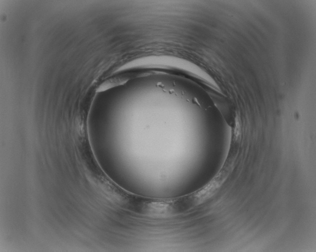 X0000067360176200604131825