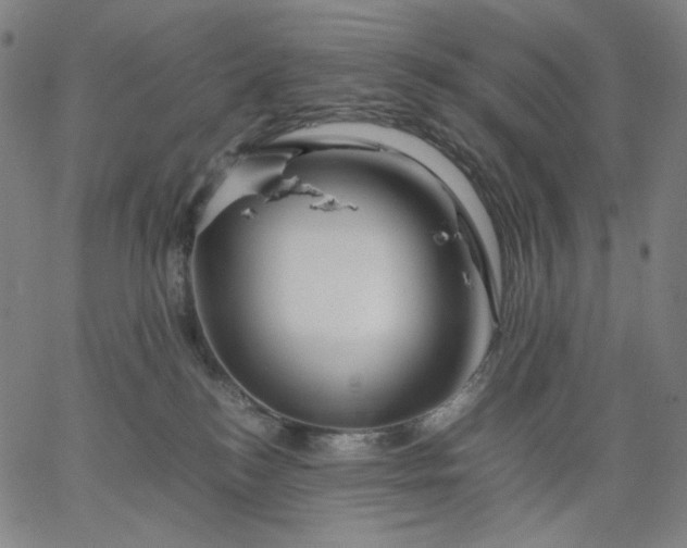 X0000067360184200604131825