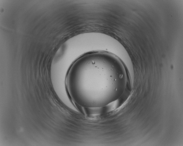 X0000067360187200604131826