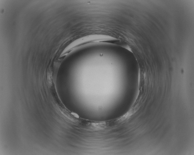 X0000067360188200604131826