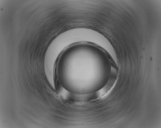 X0000067360190200604131826