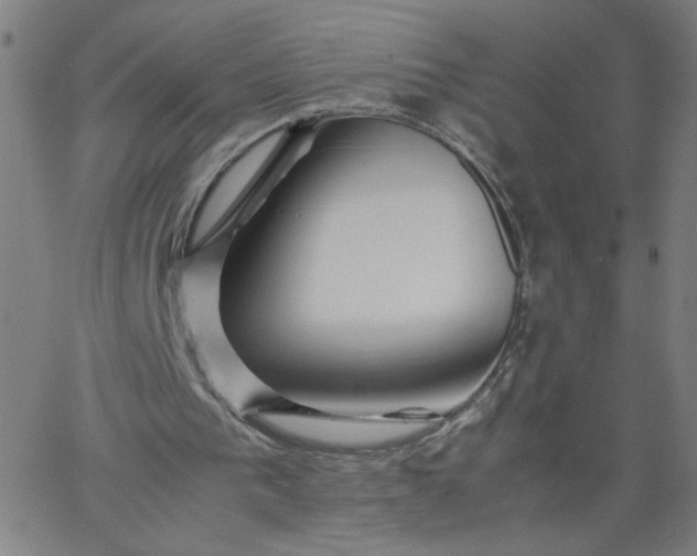 X0000067360193200604131825
