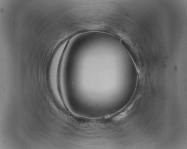 X0000067360201200604131825