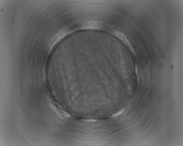 X0000067360204200604131825