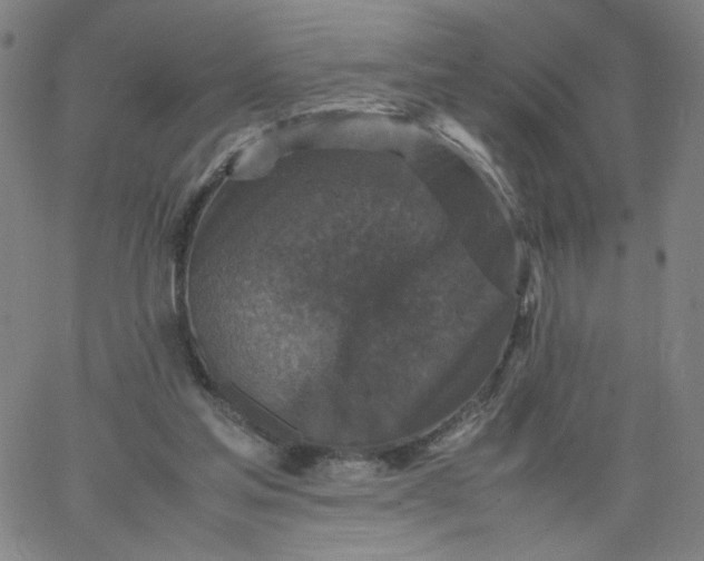 X0000067360205200604131825