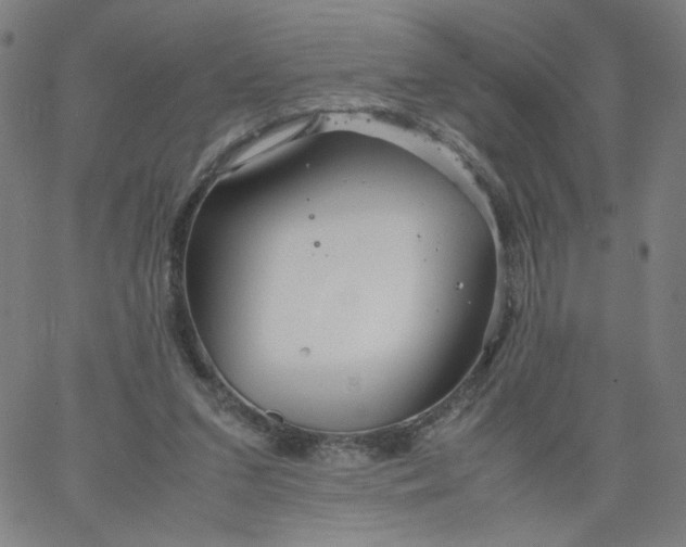 X0000067360207200604131825