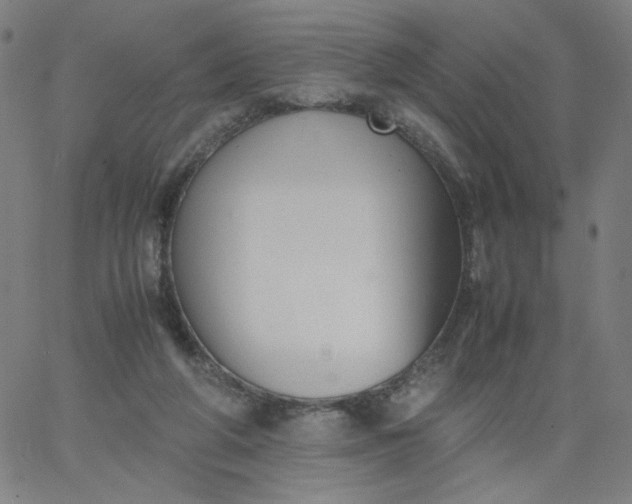 X0000067360210200604131825