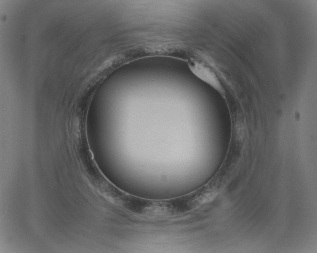 X0000067360211200604131825