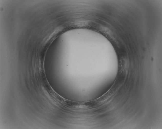 X0000067360212200604131825